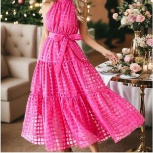 Chicwish Pink Maxi Dress